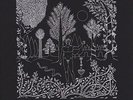 Dead Can Dance - Garden Of Arcane Delights & Peel Sessions (NEW 2 VINYL LP)