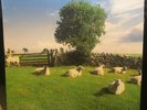 The KLF – Chill Out NEW CLEAR VINYL LP LTD EDT