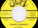 The Demures - Raining Teardrops / The Sly The Slick And The Wicked  - H4593A