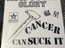 New Found Glory Make the Most of It Cancer Can Suck It Cover