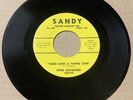 Peter Crawford & Embraceables DOO WOP 45 There Goes A Young Love SANDY VG++ HEAR