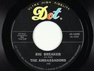 Surf Inst. 45 - Ambassadors - Big Breaker/Surfin' John Brown - Dot - VG++ mp3