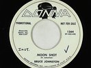 Beach Boys 45 - Bruce Johnston - Moon Shot/Soupy Shuffle Stomp - Donna - mp3