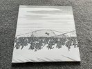 Shellac Excellent Italian Greyhound Vinyl LP Record
