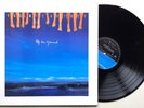 Paul McCartney - Off The Ground - Vinyl LP + inner  - UK Press 1993  (EXC / EXC)