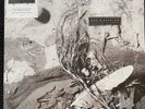 David Sylvian Secrets of the Beehive Vinyl (Remastered LP 2019) Brand New Sealed