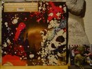 PINK FLOYD The Piper At The Gates Of Dawn LP/OOP 2018 RSD/MONO MIX/SPECIAL COVER