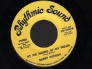 Hear 1970s Bobby Hudson Folk Rock / Pop Psych M- 45 (To the Shores of My Dream)
