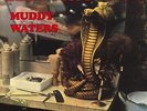Muddy Waters - Electric Mud (LP) - Vinyl Blues