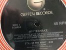 Whitesnake- Still Of The Night Single LP UNPLAYED.   Out Of Print