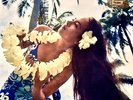 Sexy Cover / Buckie Shirakata / Golden Hawaiian Japan LP / Cheesecake, Hula