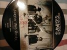 The Cramps-surfin In The Dark (Picture Disc)