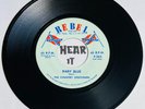 Excellent Bluegrass Bob Dylan 45 THE COUNTRY GENTLEMEN Baby Blue REBEL hear