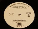 Oingo Boingo Private Life Whole Day Off Nothing To Fear +1 US DJ 12