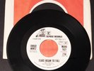 45 rpm rock JUNIER MINTZ Tears Began to Fall 1972 mono/stereo promo EX Zappa