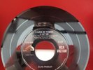 Elvis Presley Love Me Tender 7