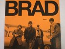 BRAD SHAME 20th ANNIVERSARY 2013 PRESSING VINYL LP SEATTLE GRUNGE Pearl Jam