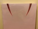 BLACKPINK - Born Pink Limited Edition Pink Vinyl LP Box Set SHIPS NOW