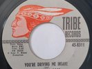 EX Northern Soul Mod 45 - Sammy Jay - You're Driving Me Insane - Tribe HEAR IT