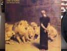 THE SOUND - FROM THE LIONS MOUTH
