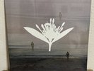 Copeland - Ixora Twin Vinyl LP White New, Sealed