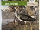 Jets to Brazil - Four Cornered Night Vinyl LP 180 Gram 2017 Jade Tree BLACK WAX