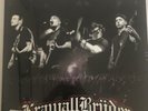 Krawallbrüder 15 Jahre Live In Berlin Lp
