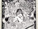 SEPTIC DEATH . now I have LP  Pushead Zorlac Metallica Skate DRI Slayer Cro-Mags