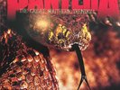 Pantera – The Great Southern Trendkill (Vinyl, 1996), neuwertig, mit Textblatt