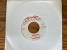 The Primitives The Ostrich Dickwick Pickwick 45 repro lou reed garage 60’s