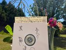 The Callous Daoboys - Celebrity Therapist - Test Pressing 5/8
