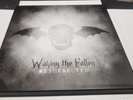 avenged sevenfold Waken The Fallen Resurrected box set Misspress Vinyl