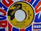 THE MICKEY FINN-garden of my mind,DIRECTION,UK,1967,FREAKBEAT SUPER REPRO,MINT