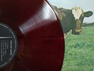 【 PINK FLOYD 】 ATOM HEART MOTHER RED COLOR VINYL