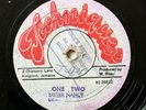 SISTER NANCY - One Two / KILLER DJ REGGAE DANCEHALL TECHNIQUES MAXI 12