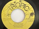 FLOYD LLOYD - Jah Jah Why / REGGAE 45 Tropic