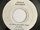 RENATO - Lo Que el Deni Puede Hacer / PANAMA REGGAE EN ESPAÑOL DANCEHALL 45