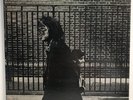 Neil Young After The Gold Rush Vinyl Record LP Gatefold Album 1970 Folk Rock NM