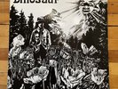 Dinosaur (Dinosaur Jr.) 1988 First Repress Vinyl  LP Homestead Records EX/EX