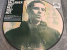 Liam Gallagher Oasis Why Me Why Not Signed Picture Disc Brand New