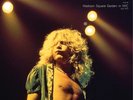 Led Zeppelin Live at Madison Square Garden in NYC, July 1973 (Vinyl) (UK IMPORT)