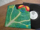 CATAPILLA CHANGES IN 1972 MINT-  Lp  VERTIGO SWIRL Psych Prog