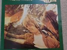 Billy Nicholls – Would You Believe (LP 1998) Ltd. number 441 of 1,000. EX/EX
