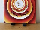 Stevie Wonder - Songs In The Key Of Life [2 LP+7