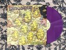 Dinosaur Jr - I Bet On Sky VINYL (PURPLE HEAVYWEIGHT)