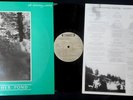 NOT DROWNING WAVING LP Another Pond DAVID BRIDIE Original RAMPANT 84