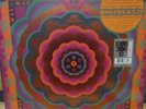 Grateful Dead. Boston Garden 5/7/77 RSD EXCLUSIVE 5X Vinyl.