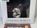 SAM FENDER Wild Grey Ocean & Little Bull of Blithe RSD 2023 7