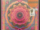 Grateful Dead 'Boston Garden, MA 5/7/77 Live' RSD 2023 180G Vinyl Box Set