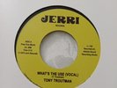 Tony Troutman- Whats The Use 7